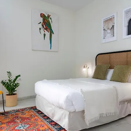 Monkeys Apartments Alameda Seville Exterior photo